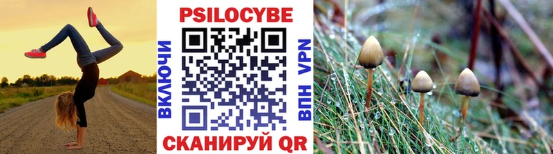 Купить закладки Белореченск Псилоцибиновые грибы прущие грибы